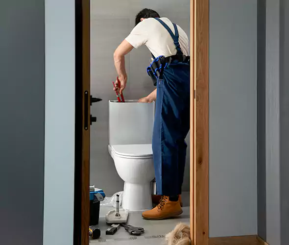 Professional Plumbers for Toilet Bowl Replacement in Lake Elsinore, CA: Schedule Affordable Toilet Replacement Services With Us