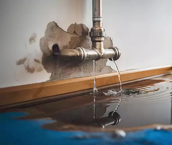 Professional Water Damage Restoration Experts in Lake Elsinore, CA — Fast, Reliable & Certified