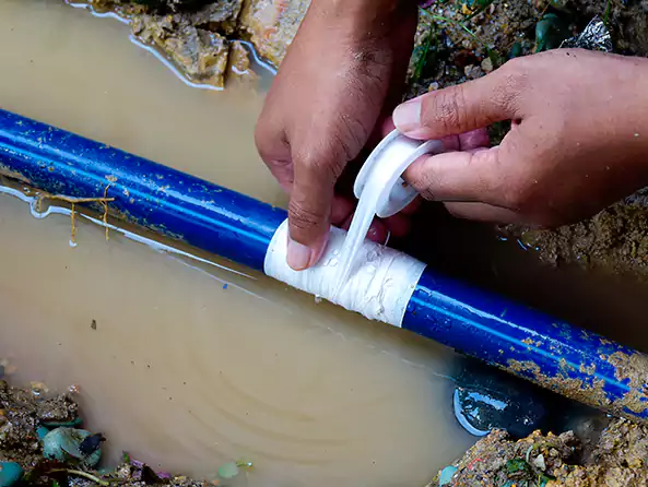  Why Choose Plumbers Lake Elsinore for Leak Detection in Lake Elsinore, CA?]