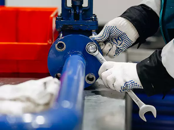 Why Choose Plumbers Lake Elsinore for Well Pump Repair in Lake Elsinore, CA?