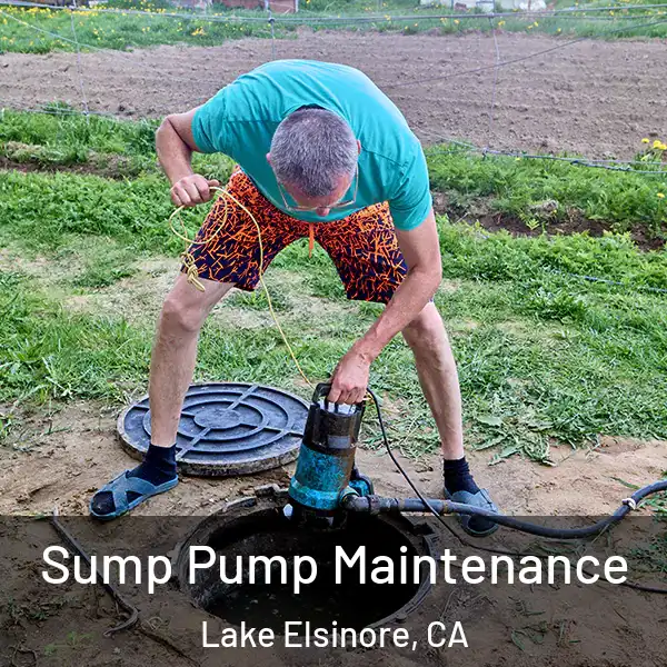  Sump Pump Maintenance Lake Elsinore, CA