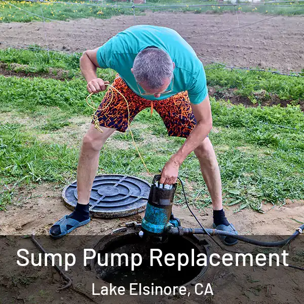 Sump Pump Replacement Lake Elsinore, CA
